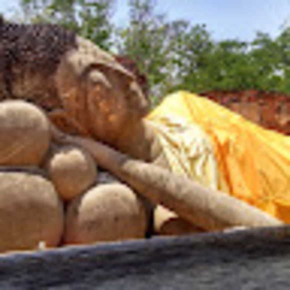 Meet your Posher, Michelle - Picture 1 of 1